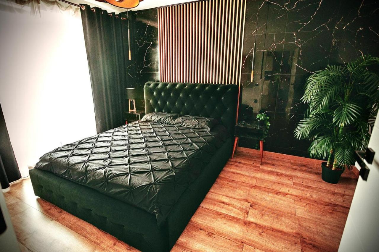 Jacuzzi Apartment Baia Mare Eksteriør billede