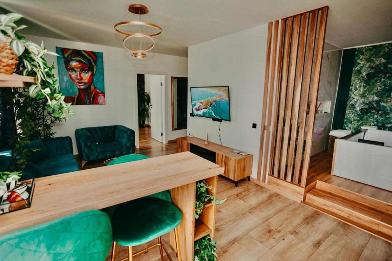 Jacuzzi Apartment Baia Mare Eksteriør billede