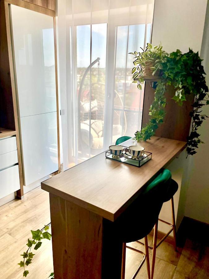Jacuzzi Apartment Baia Mare Eksteriør billede